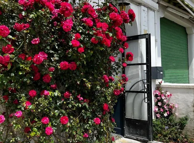 Apartamento T2 Cosy Proche Gare Et Centre - Parking Gratuit à Proximité